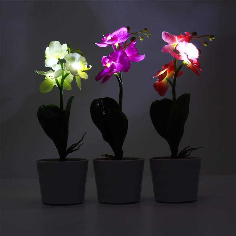 
	3LED Solar Powered Phalaenopsis Flower Stake Garden Yard Light Landscape Outdoor Decor